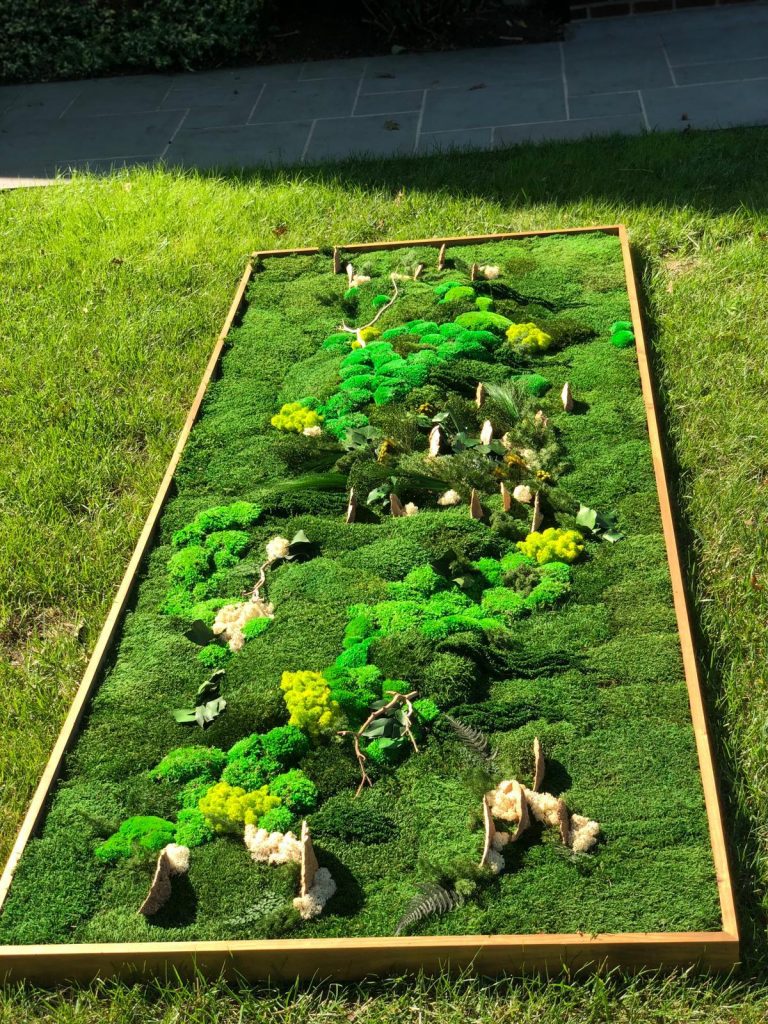 MOSS WALL Moss Art London Preserved Moss, Forest, Plants and more…