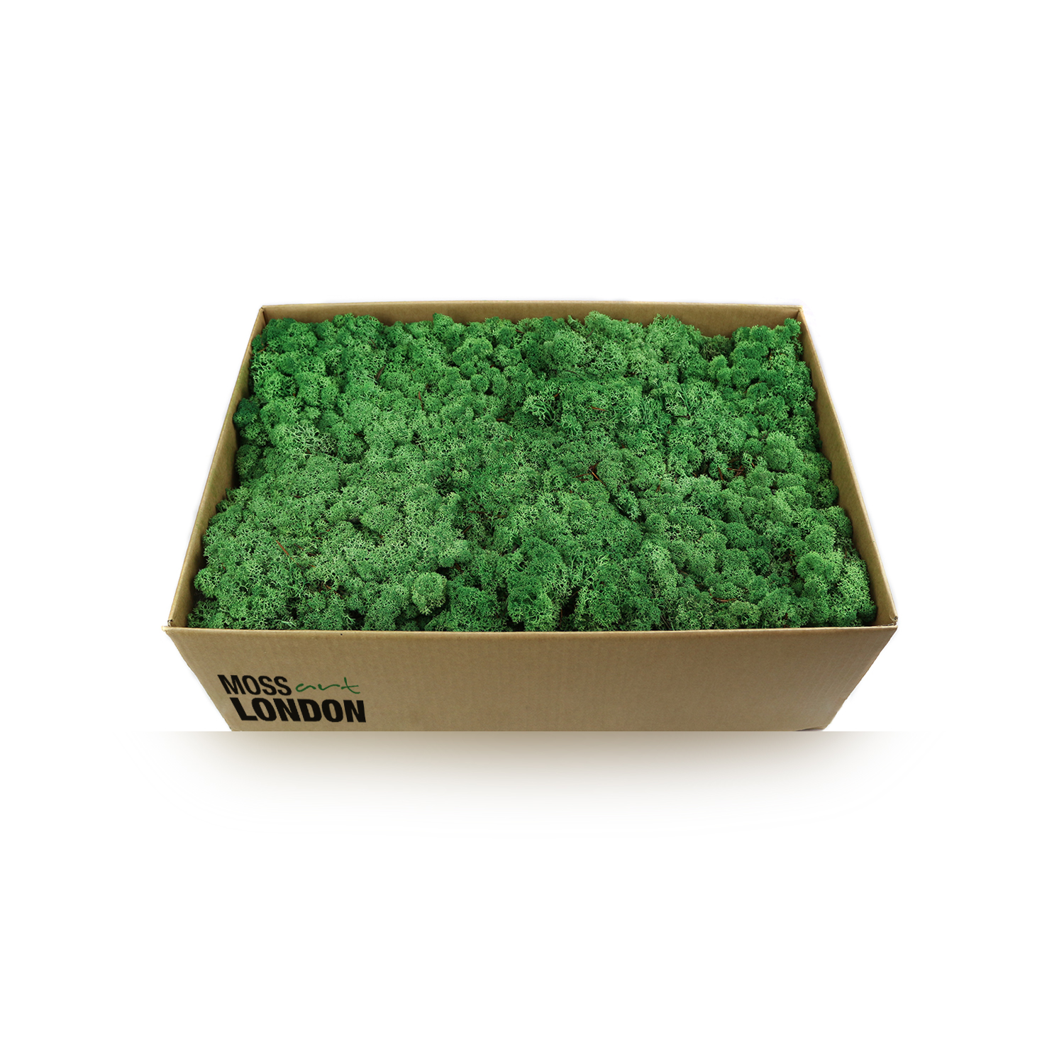 Products Moss Art London Preserved Moss, Forest, Plants and more…