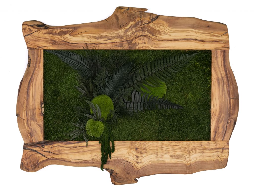 Moss Art London Preserved Moss, Forest, Plants and more… The Leader